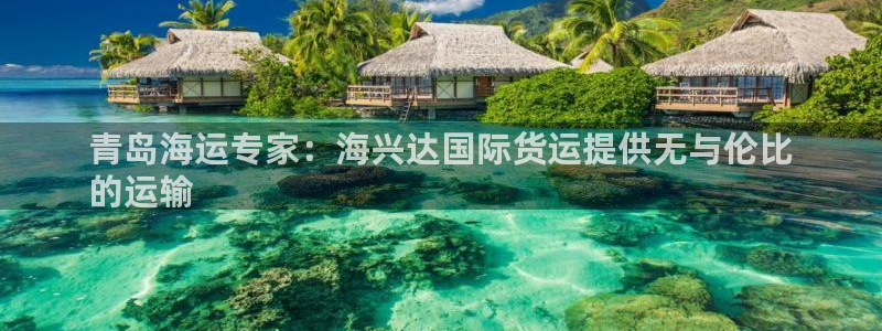 尊龙最近一次露面：青岛海运专家：海兴达国际货运提供无与伦