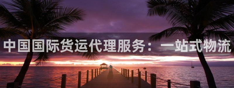 尊龙凯时人生就是博·(中国)官网最新：中国国际货运代理服
