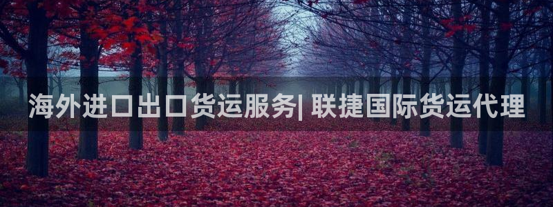 尊龙ag旗舰厅下载：海外进口出口货运服务| 联捷国际货运
