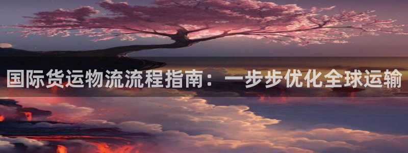 尊龙人生就是博一下下：国际货运物流流程指南：一步步优化全