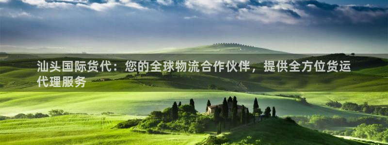 尊龙凯时公司官网：汕头国际货代：您的全球物流合作伙伴，提