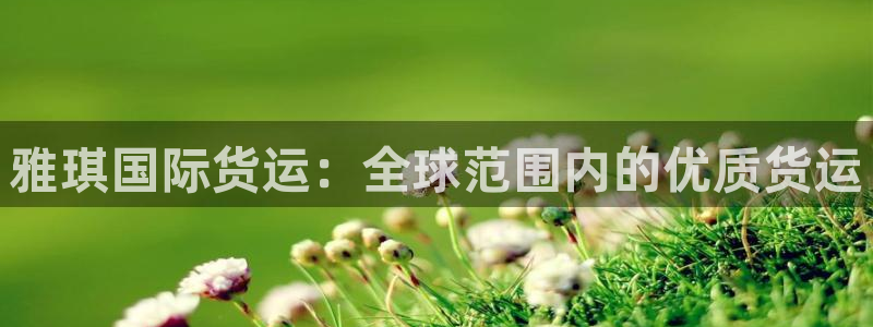 尊龙电子：雅琪国际货运：全球范围内的优质货运