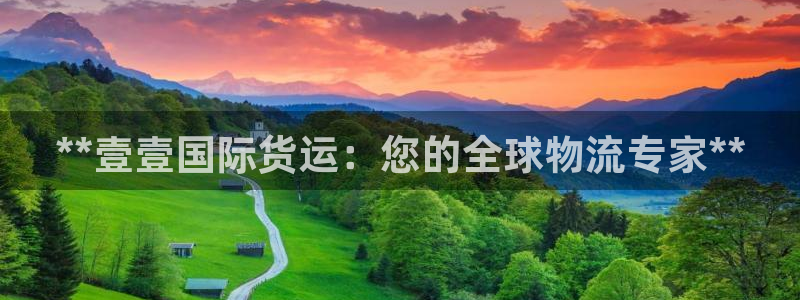 尊龙人生就是博登录准认来就送38：**壹壹国际货运：您的