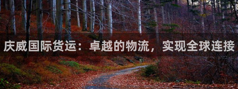 尊龙 中国：庆威国际货运：卓越的物流，实现全球连接