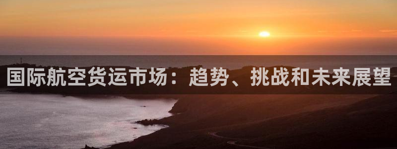 尊龙人生就是博客服：国际航空货运市场：趋势、挑战和未来展