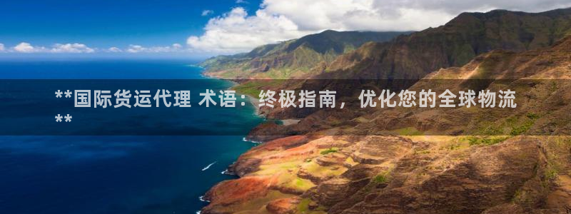 尊龙体育正规么：**国际货运代理 术语：终极指南，优化您