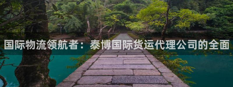 尊龙凯时品牌介绍：国际物流领航者：泰博国际货运代理公司的