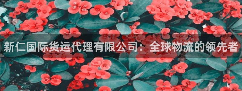 尊龙个人资料简介：新仁国际货运代理有限公司：全球物流的领