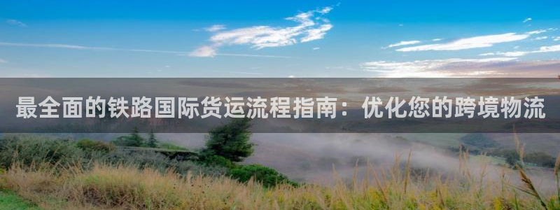 尊龙凯时取款一直支付中：最全面的铁路国际货运流程指南：优