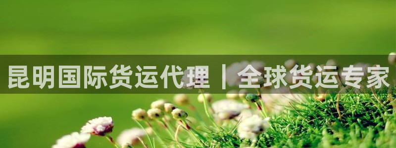 尊龙凯时账号异常审核提不了款怎么办：昆明国际货运代理｜全