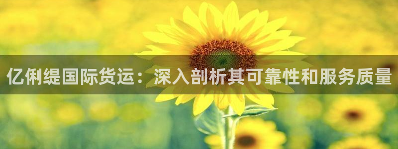 尊龙人生就是博旧版：亿俐缇国际货运：深入剖析其可靠性和服