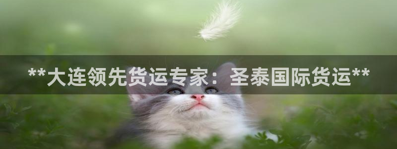 尊龙凯时d5138：**大连领先货运专家：圣泰国际货运*