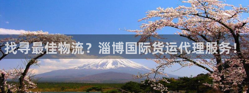 尊龙凯时ag旗舰厅官网客服：找寻最佳物流？淄博国际货运代