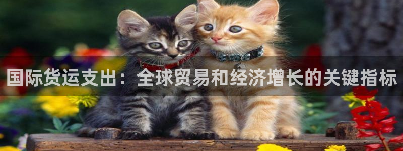 尊龙目前照片：国际货运支出：全球贸易和经济增长的关键指标