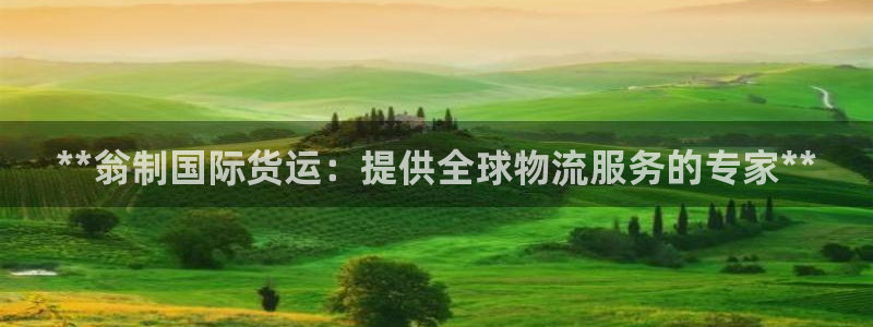 尊龙人生就是博旧版：**翁制国际货运：提供全球物流服务的