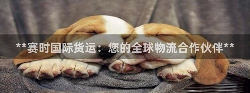 旧版尊龙人生就是博下载：**赛时国际货运：您的全球物流合