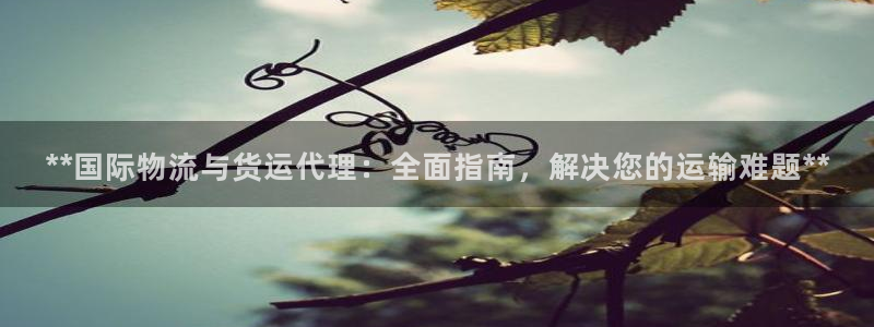 尊龙,人生就是博!登录国际：**国际物流与货运代理：全面