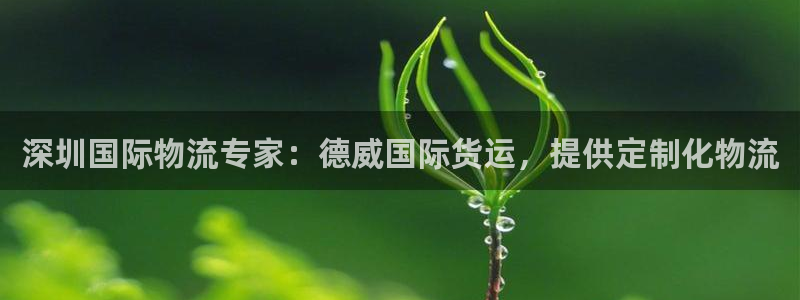 尊龙人生就是一博!：深圳国际物流专家：德威国际货运，提供