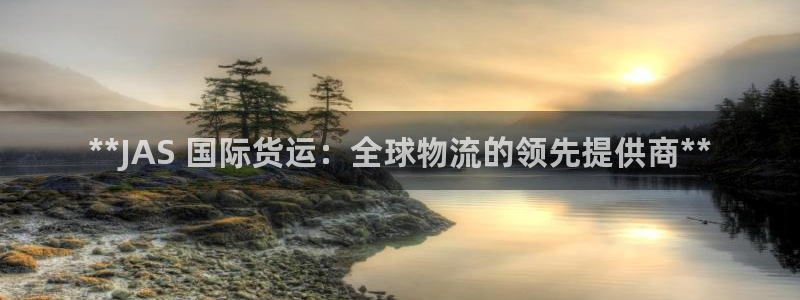 尊龙网站注册网：**JAS 国际货运：全球物流的领先提供