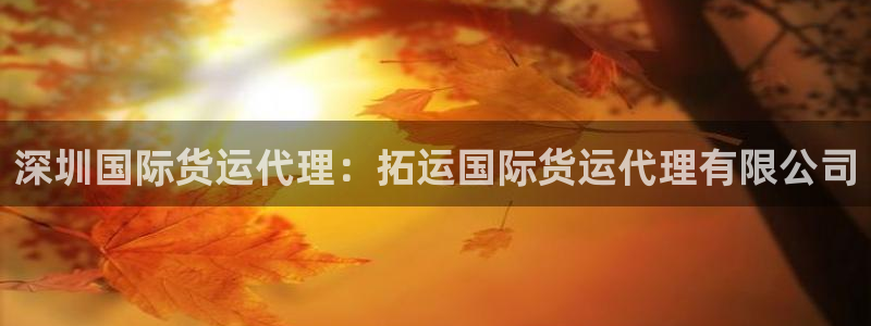 尊龙凯时贴吧：深圳国际货运代理：拓运国际货运代理有限公司