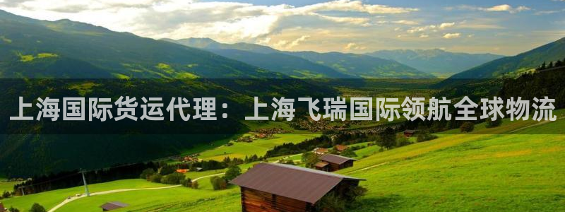 尊龙凯时网站不让提款：上海国际货运代理：上海飞瑞国际领航
