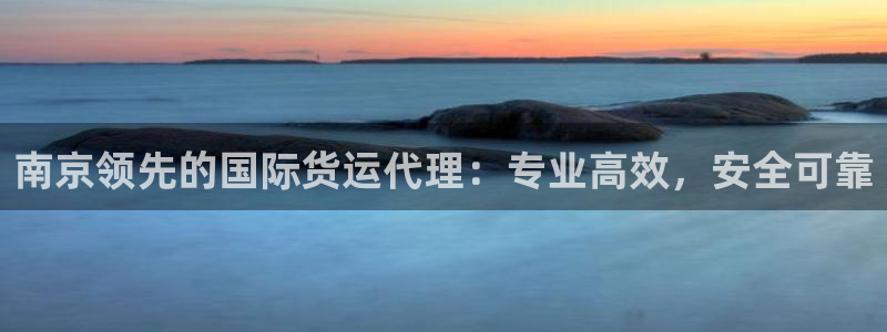 尊龙王t400：南京领先的国际货运代理：专业高效，安全可