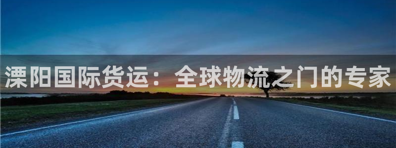 尊龙app怎么样：溧阳国际货运：全球物流之门的专家