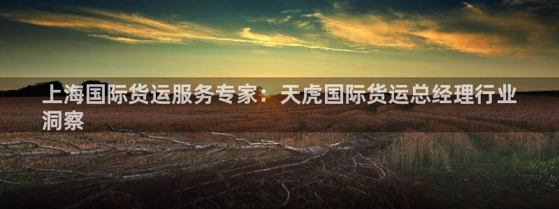 尊龙凯时官网：上海国际货运服务专家：天虎国际货运总经理行