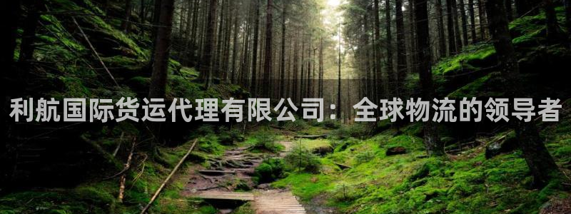尊龙-人生就是博：利航国际货运代理有限公司：全球物流的领