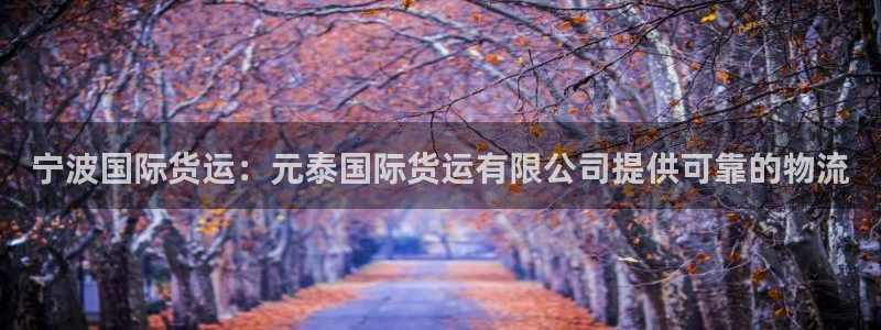 尊龙凯时人生就是搏平台：宁波国际货运：元泰国际货运有限公