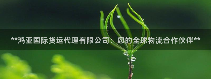 尊龙凯时不给提现怎么办：**鸿亚国际货运代理有限公司：您