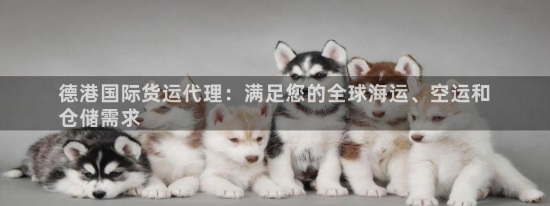 尊龙人生就是博下载：德港国际货运代理：满足您的全球海运、