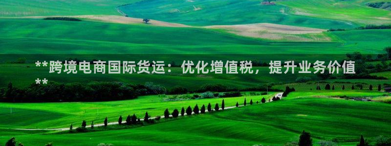 尊龙凯时总部在哪里：**跨境电商国际货运：优化增值税，提
