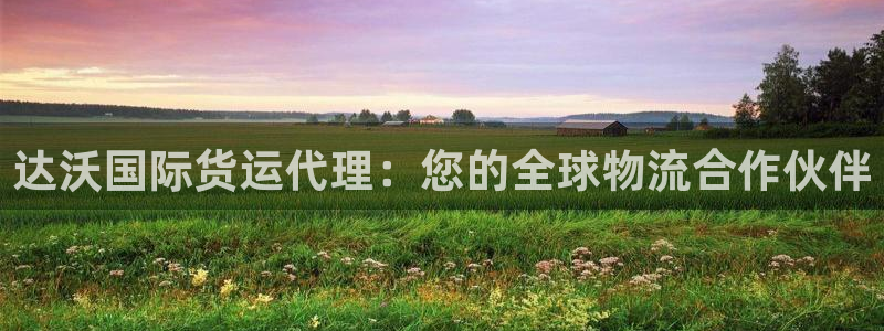 尊龙凯时白家乐Abb下载：达沃国际货运代理：您的全球物流