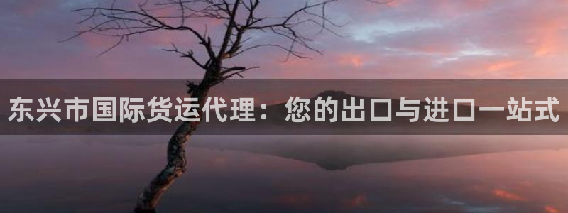 尊龙人生就是博一下下：东兴市国际货运代理：您的出口与进口