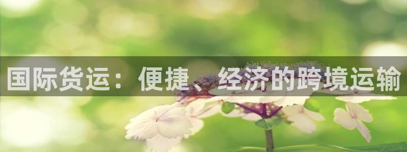 尊龙人生就是博现金：国际货运：便捷、经济的跨境运输