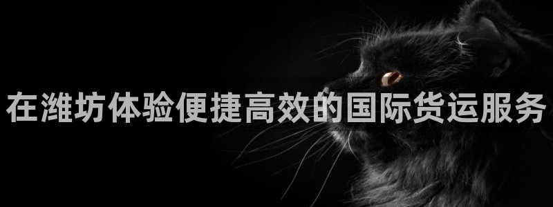 尊龙165：在潍坊体验便捷高效的国际货运服务