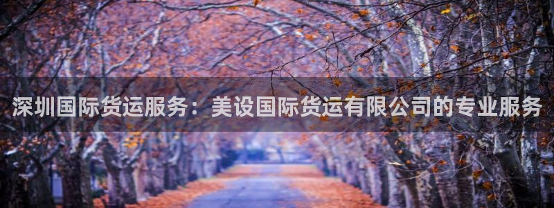 尊龙凯时人生就博：深圳国际货运服务：美设国际货运有限公司