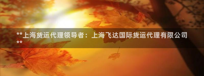 尊龙凯时游戏厅：**上海货运代理领导者：上海飞达国际货运