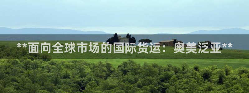 尊龙最近一次露面：**面向全球市场的国际货运：奥美泛亚*