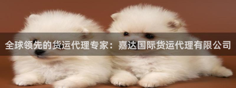 尊龙凯时为什么输了钱：全球领先的货运代理专家：嘉达国际货
