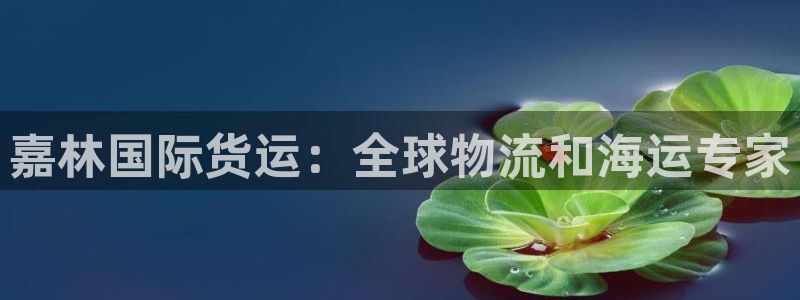 尊龙凯时官网正规吗：嘉林国际货运：全球物流和海运专家