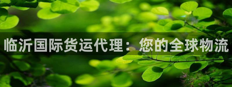 尊龙尊龙：临沂国际货运代理：您的全球物流
