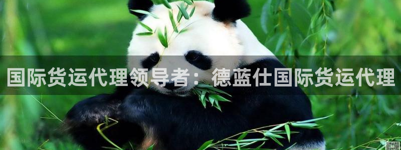 尊龙凯时家居是品牌吗：国际货运代理领导者：德蓝仕国际货运