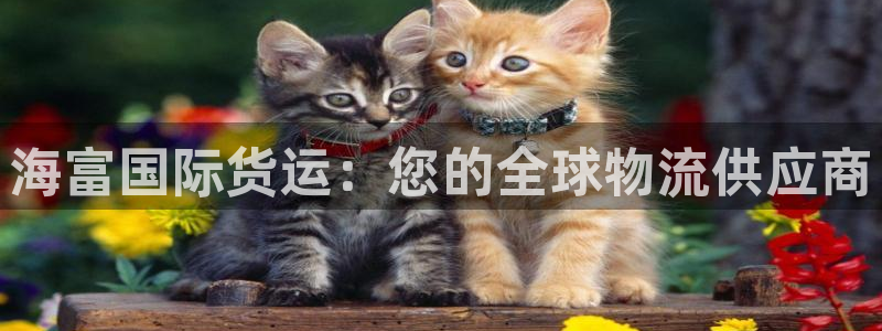 尊龙用现金一下可靠送38元：海富国际货运：您的全球物流供