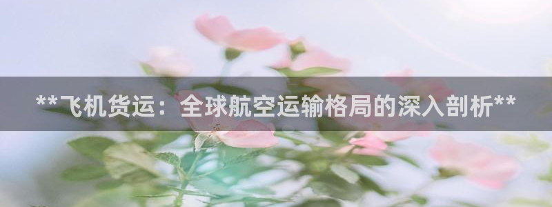尊龙ag旗舰官网：**飞机货运：全球航空运输格局的深入剖