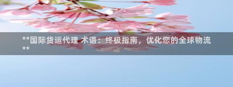 尊龙凯时白家乐Abb下载：**国际货运代理 术语：终极指