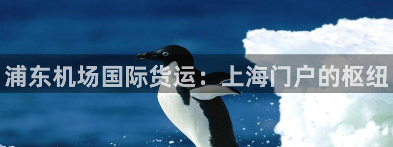 尊龙凯时不给提现怎么办：浦东机场国际货运：上海门户的枢纽