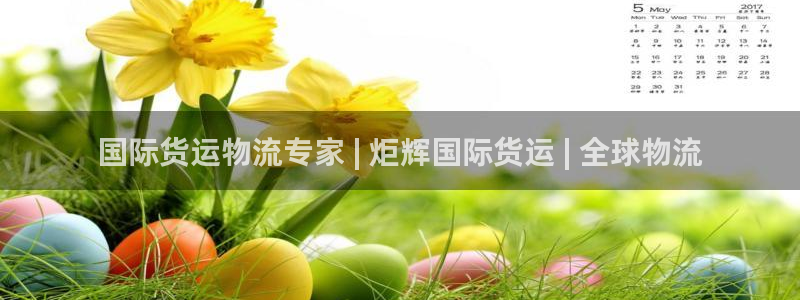 尊龙网址苹果版下载：国际货运物流专家 | 炬辉国际货运 
