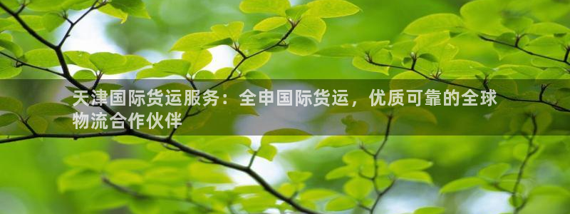 尊龙凯时vip：天津国际货运服务：全申国际货运，优质可靠
